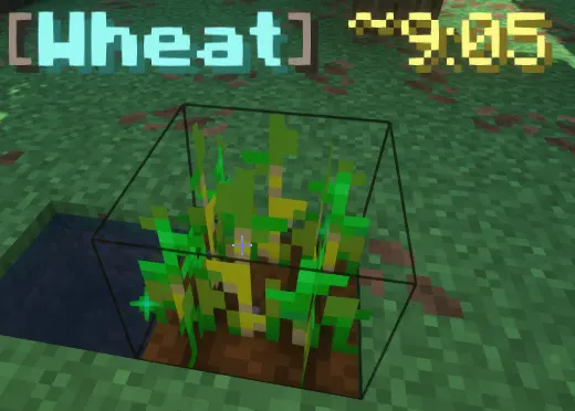 Crop Timer Details example